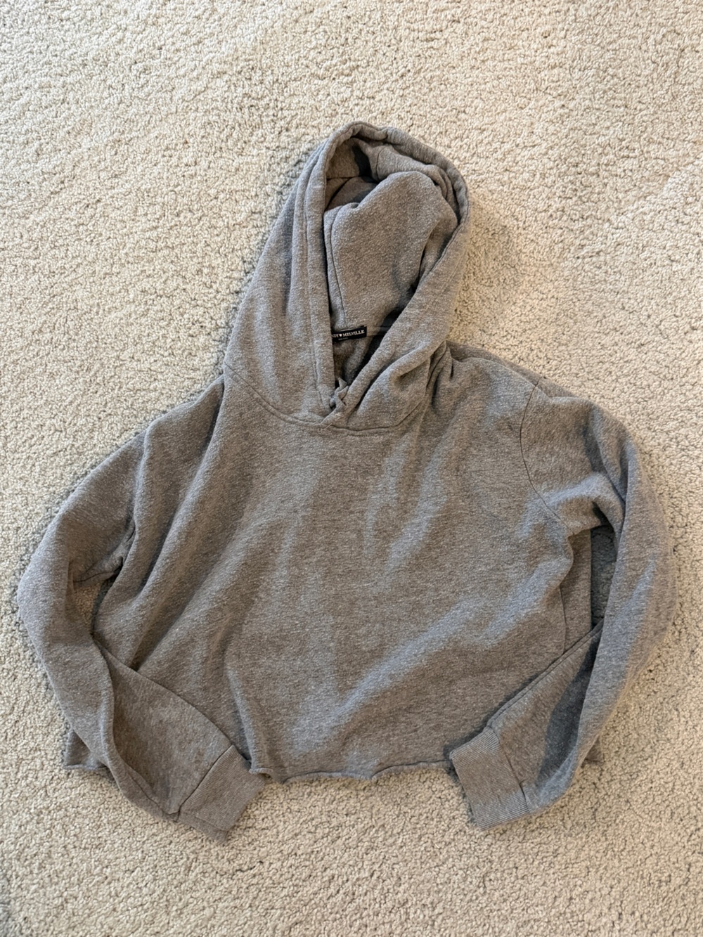 Brandy Melville Gray Cropped Hoodie